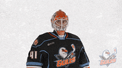 SDGullsAHL no nope nhl no no no GIF