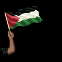 Palestine will be free!