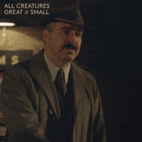allcreaturestv animals nod handshake understanding GIF