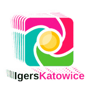 Katowice Sticker by igerspoland