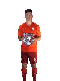 Wbg Sticker by WasserburgerLöwen