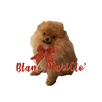 Christmas Puppy Sticker by Blanc MariClo'