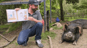 OaklandZoo animals kids books reading GIF