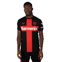 Bayer 04 Football Sticker by Bayer 04 Leverkusen