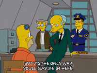 homer simpson GIF