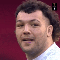 English Sport GIF by Guinness Six Nations