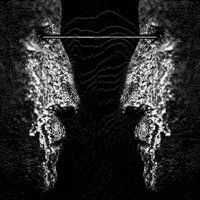 Black And White Loop GIF by A. L. Crego