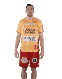 Celebration Handball Sticker by GOG Sport