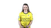 Fan Supporter Sticker by Fortuna Sittard