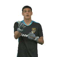 Major League Soccer Sticker by realsaltlake