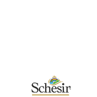 Schesir cat dog pet cane Sticker