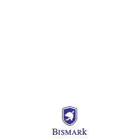 Bismark Sticker by Bismarkpapeleria