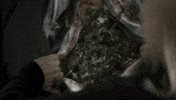 the magicians alice GIF by SYFY
