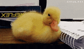 tired shake it out GIF
