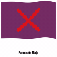 Flag Spain GIF by Formación Ninja