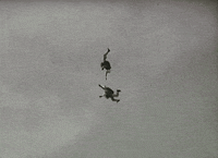 Film Fall GIF