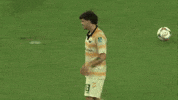 Dani Fernandez Knoxville GIF by USL