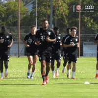 Football Soccer GIF by FC Bayern Munich