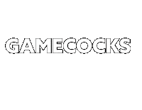 Garnet Gamecockfootball Sticker by gamecocksonline