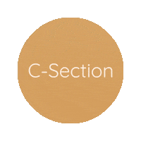 Pelvic Floor C-Section Sticker by Nancy Anderson Fit