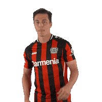 Bayer 04 Yes Sticker by Bayer 04 Leverkusen
