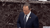 Adam Schiff Impeachment GIF