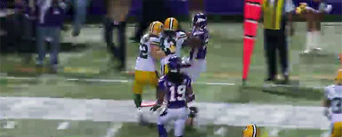 minnesota vikings nfl GIF