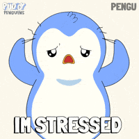 Penguin Omg GIF by Pudgy Penguins