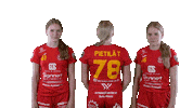 Sport Floorball Sticker by F-liiga