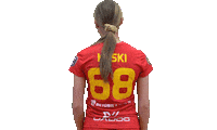Floorball Salibandy Sticker by F-liiga