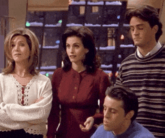 season 1 friends GIF
