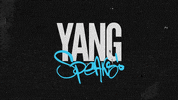 Yang Gang Podcast GIF by ALL SEEING EYES