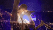 Concert GIF by Slightly Stoopid