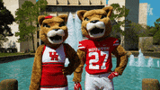 houstoncougars houston sasha gocoogs shasta GIF