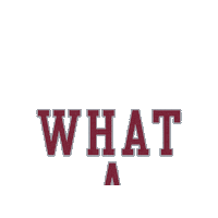 Santa Clara University Go Broncos Sticker by Santa Clara Broncos