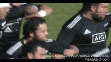 all blacks GIF
