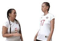 Volleyball Win Sticker by fcmalibumb