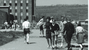 GIF by Binghamton University