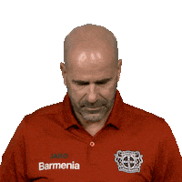 Bayer 04 Hello Sticker by Bundesliga