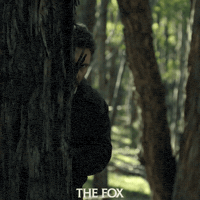Jai Courtney Comedy GIF by Signature Entertainment