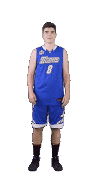 Basketball Win Sticker by ACSL - Austrian College Sports League