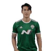 jeonbuk1994 전북현대 jeonbuk 전북 jeonbukhyundai Sticker