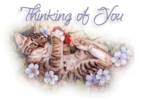 Thinking Of You GIF