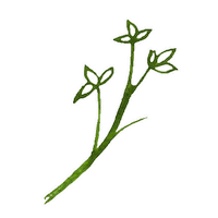 Julia_Ili nature flower green plant Sticker