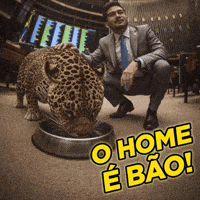 Kim Kataguiri Deputado GIF
