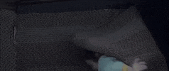 jacob tremblay room the movie GIF by Room