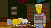 Season 20 Homer GIF by The Simpsons