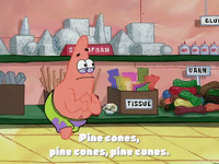 season 4 episode 3 GIF by SpongeBob SquarePants