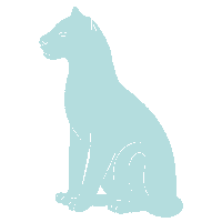 Jungle Leopard Sticker