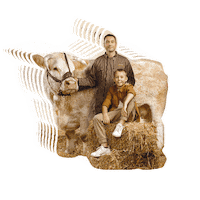 SommetElevage agriculture clermont clermontferrand elevage Sticker